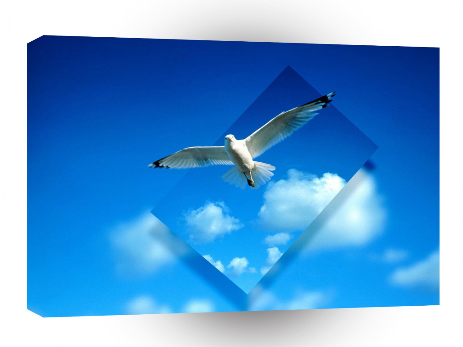 Abstract Animals Bird Gaining Perspective A1 Xlarge Canvas