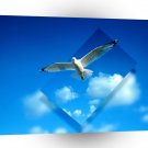 Abstract Animals Bird Gaining Perspective A1 Xlarge Canvas