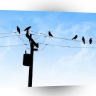 Abstract Animals Bird Rest Day A1 Xlarge Canvas