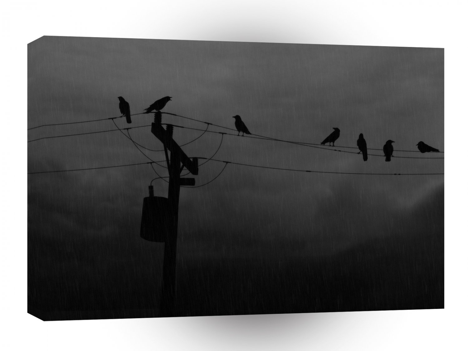 Abstract Animals Bird Rest Night A1 Xlarge Canvas
