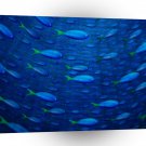 Abstract Animals Circle Of Fish Swimming A1 Xlarge Canvas