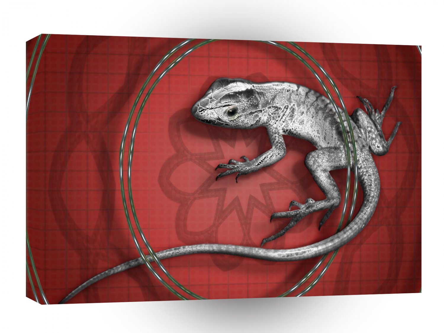Abstract Animals Grey Lizard Tail A1 Xlarge Canvas