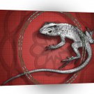 Abstract Animals Grey Lizard Tail A1 Xlarge Canvas