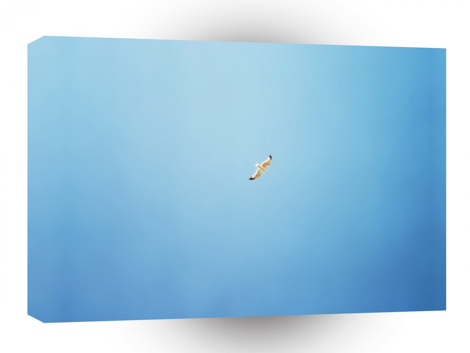 Abstract Animals One Bird One Sky A1 Xlarge Canvas