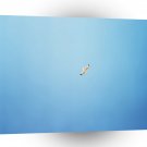 Abstract Animals One Bird One Sky A1 Xlarge Canvas