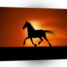 Abstract Animals Running Fast Horse Silhouette A1 Xlarge Canvas