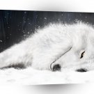 Abstract Animals Sleeping Wolf A1 Xlarge Canvas