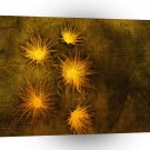 Abstract Bright Prickly Little Flames A1 Xlarge Canvas