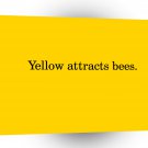 Abstract Bright Yellow Attracts Bees A1 Xlarge Canvas