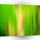 Abstract Colors Greener Side A1 Xlarge Canvas