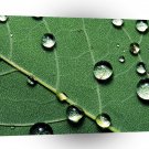 Abstract Colors Raindrops On A Fallen Leaf A1 Xlarge Canvas