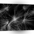 Abstract Cool A Few Wishes A1 Xlarge Canvas