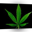 Abstract Cool Cannabis Leaf A1 Xlarge Canvas