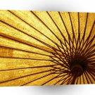 Abstract Cool Fan Umberella A1 Xlarge Canvas