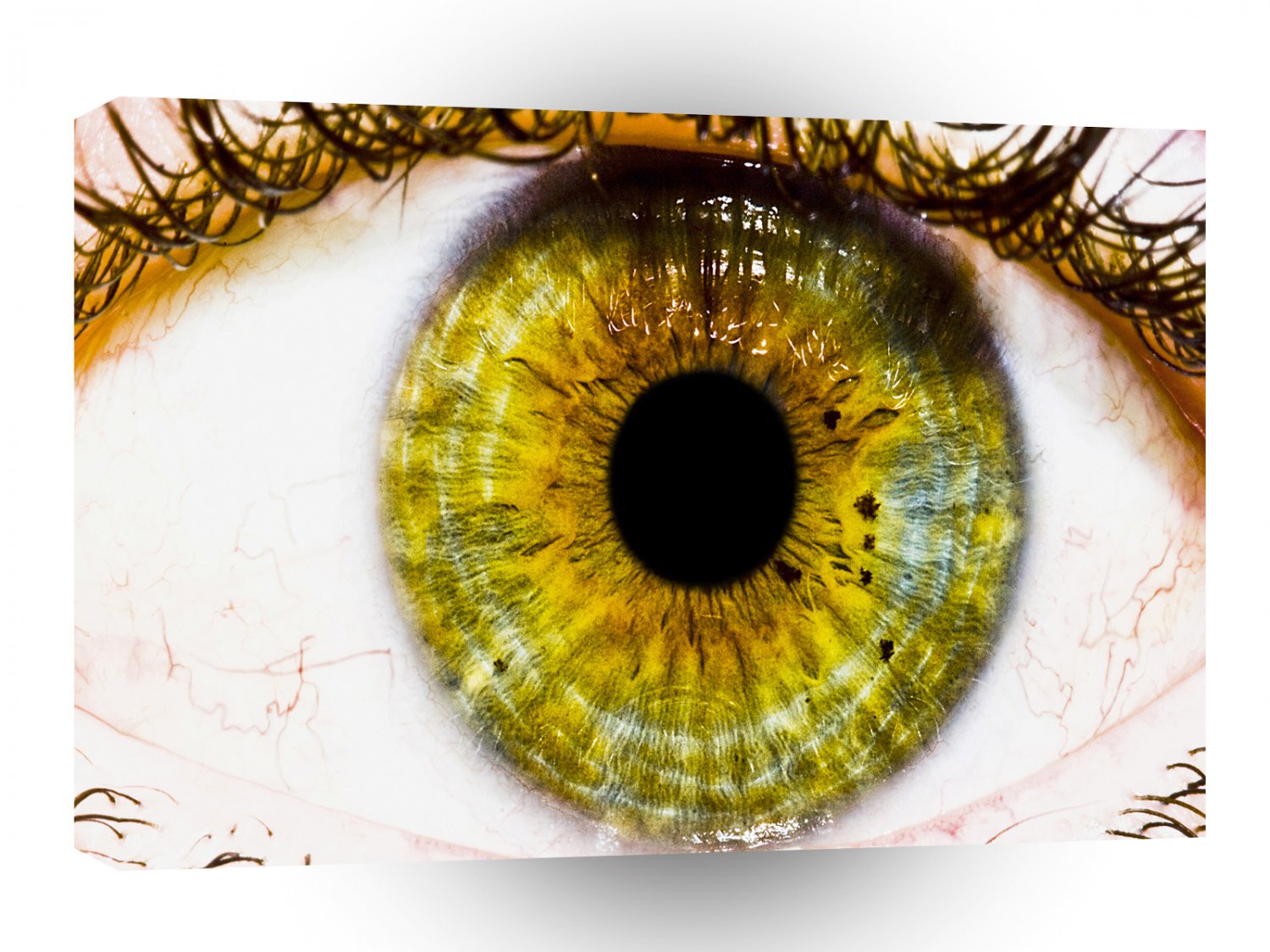 Abstract Cool Green Eye A1 Xlarge Canvas