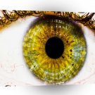 Abstract Cool Green Eye A1 Xlarge Canvas