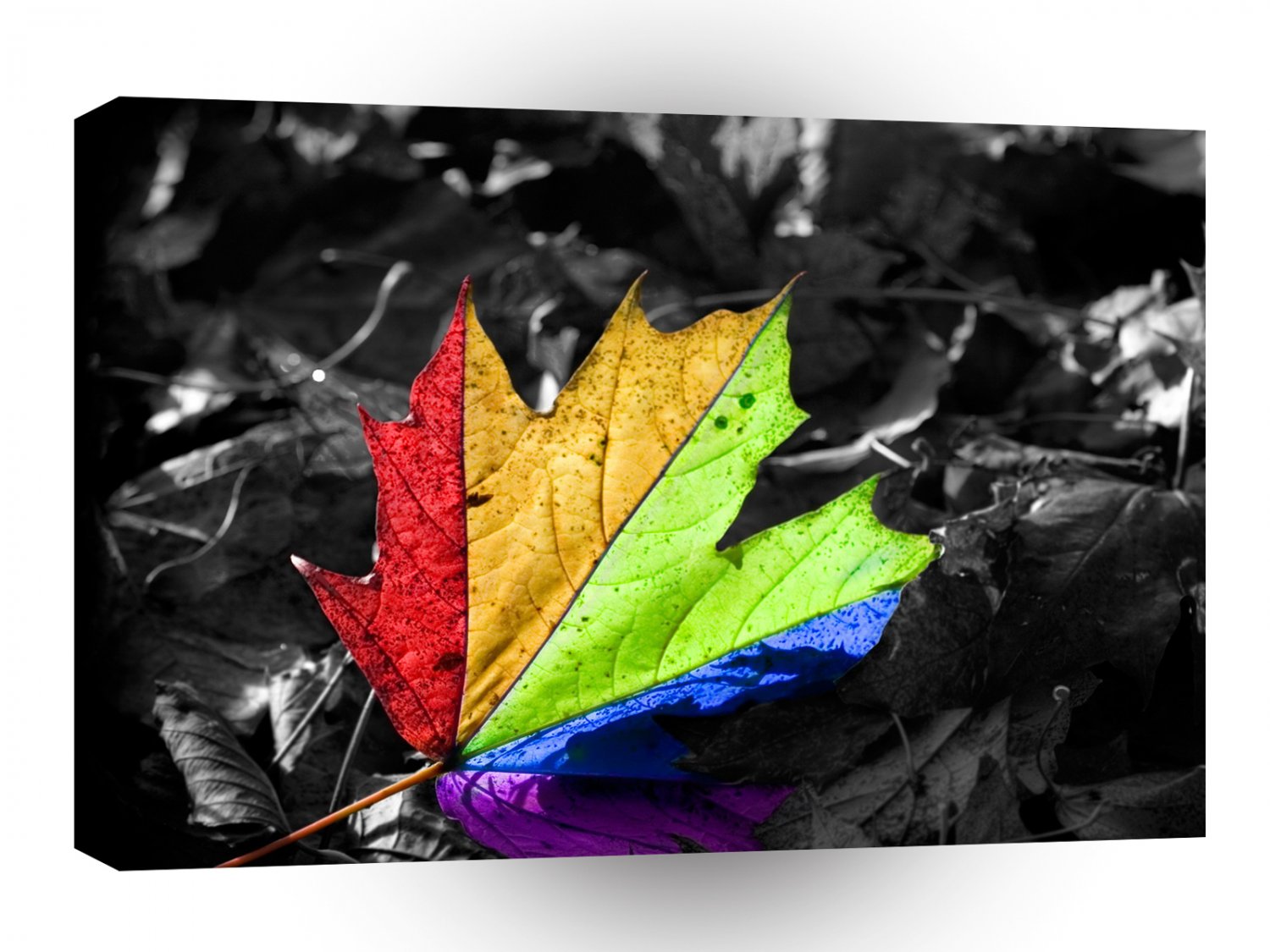 Abstract Cool Maple Leaf Colours A1 Xlarge Canvas