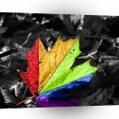 Abstract Cool Maple Leaf Colours A1 Xlarge Canvas