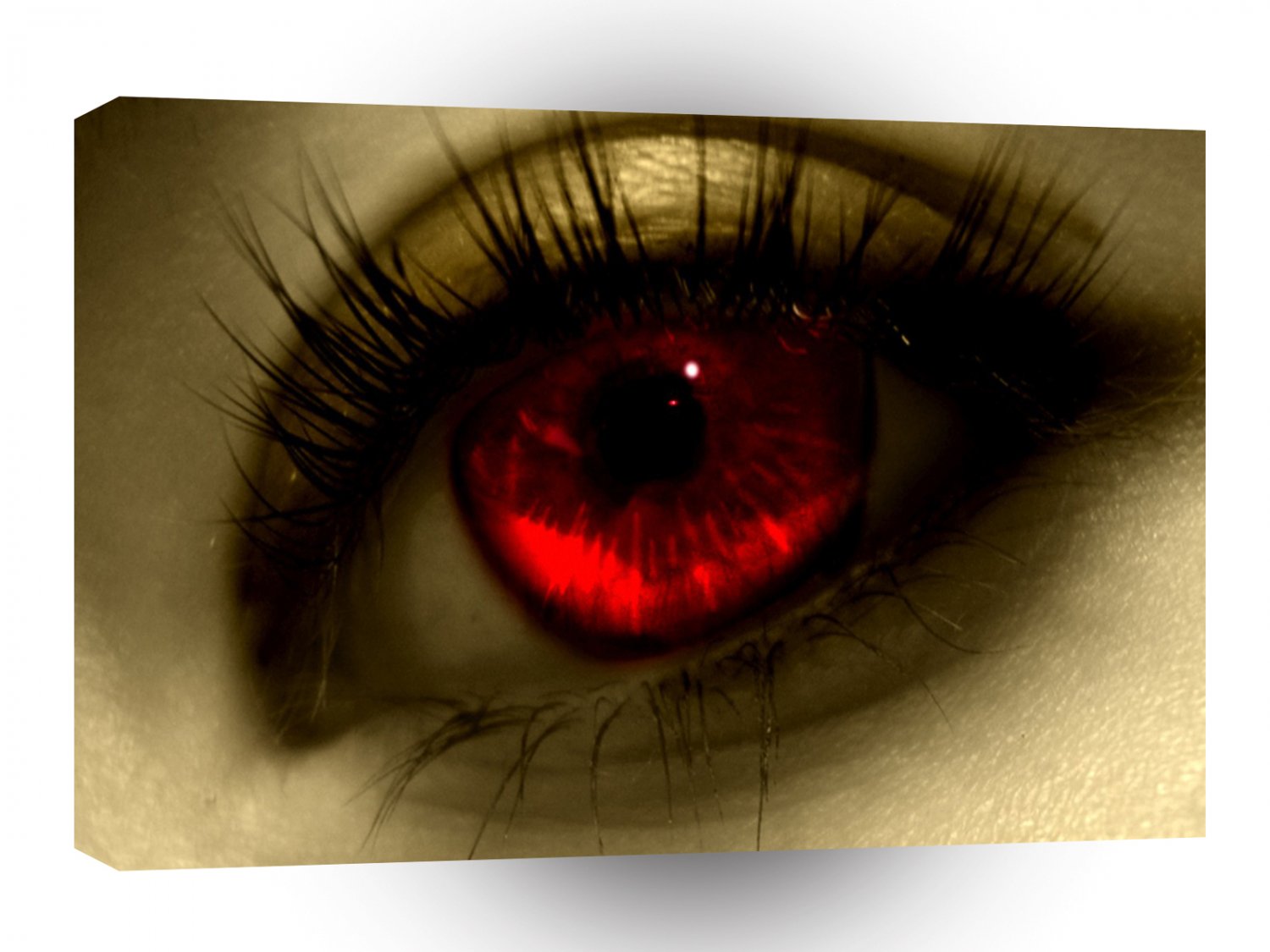 Abstract Cool Red Eye A1 Xlarge Canvas