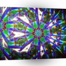 Abstract Crystal Reflect Dandelion A1 Xlarge Canvas