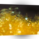 Abstract Crystal Reflect Honey A1 Xlarge Canvas