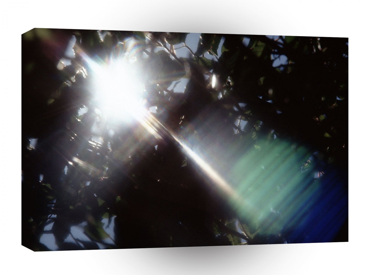 Abstract Crystal Reflect Trees A1 Xlarge Canvas