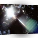 Abstract Crystal Reflect Trees A1 Xlarge Canvas