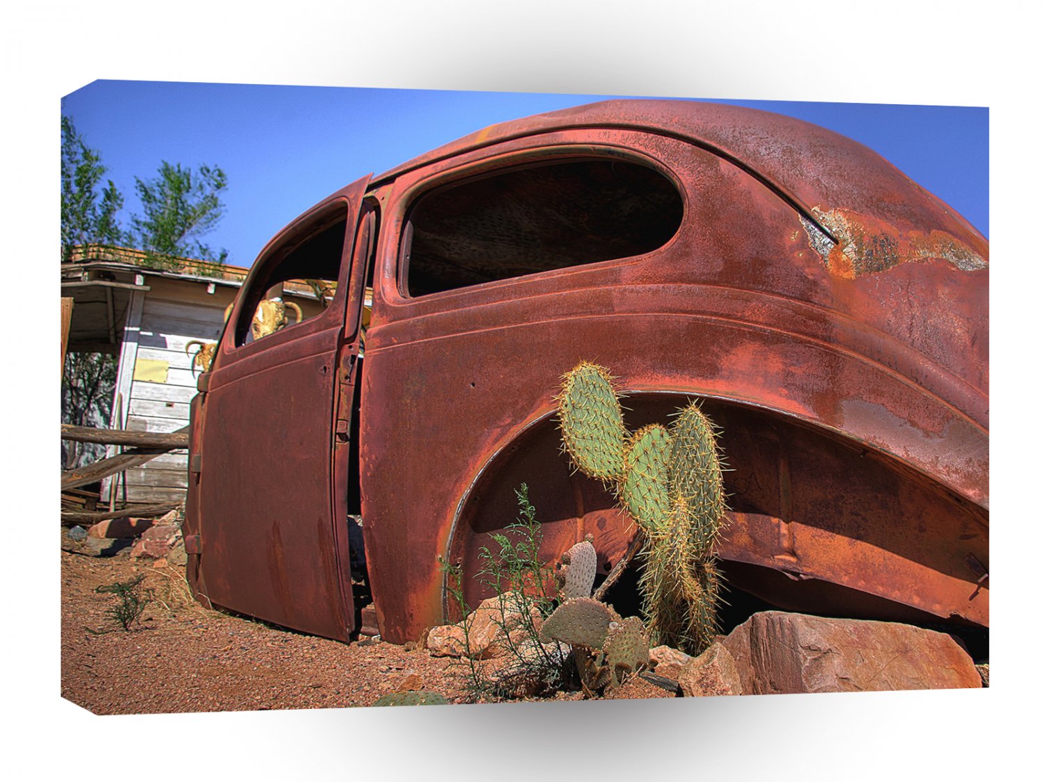 Abstract Destruction Old Beetle Cactus Jacks Car A1 Xlarge Canvas
