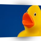 Abstract Ducky Duck A1 Xlarge Canvas