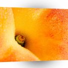Abstract Everyday Peach Core A1 Xlarge Canvas
