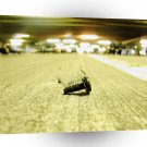 Abstract Everyday Steel Bolt A1 Xlarge Canvas