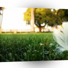 Abstract Everyday White Feather A1 Xlarge Canvas