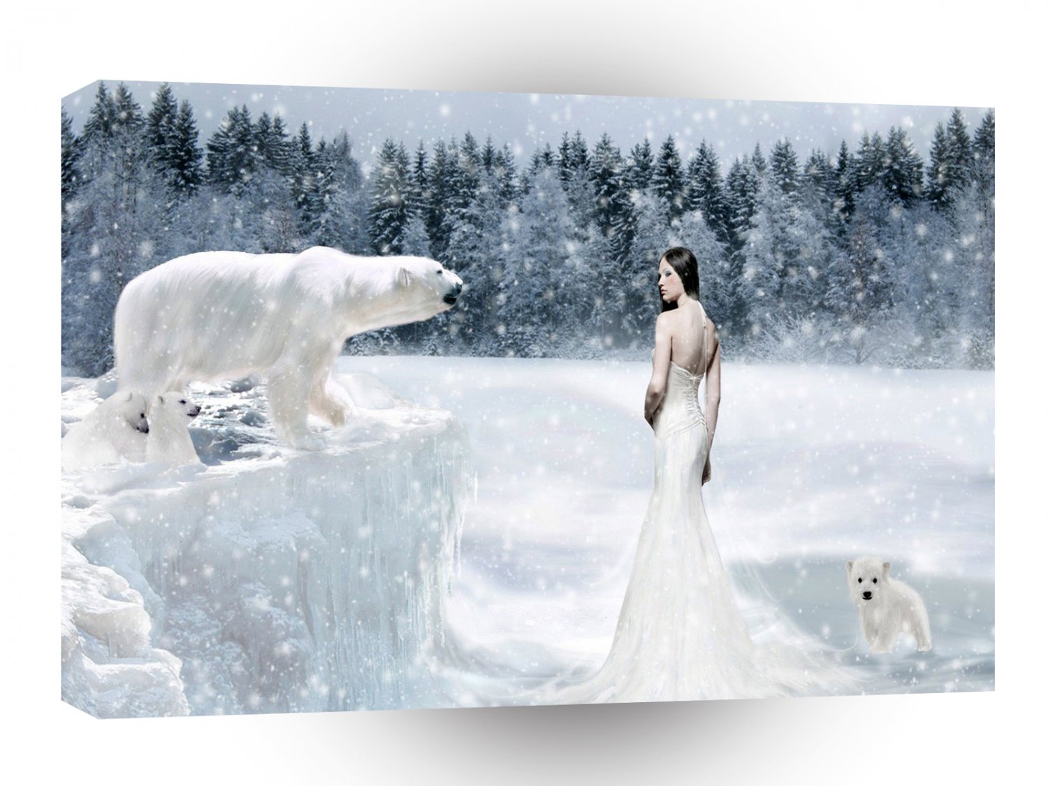 Abstract Fantasy Snow A1 Xlarge Canvas