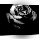 Abstract Flower Black Rose A1 Xlarge Canvas