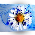 Abstract Flower Painted Daisy A1 Xlarge Canvas
