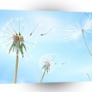 Abstract Flowers Blue Dandellion A1 Xlarge Canvas