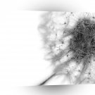 Abstract Flowers White Dandelion Grey A1 Xlarge Canvas