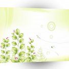 Abstract Flowers White Plant A1 Xlarge Canvas