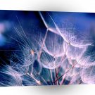 Abstract Garden Close To Wishes A1 Xlarge Canvas