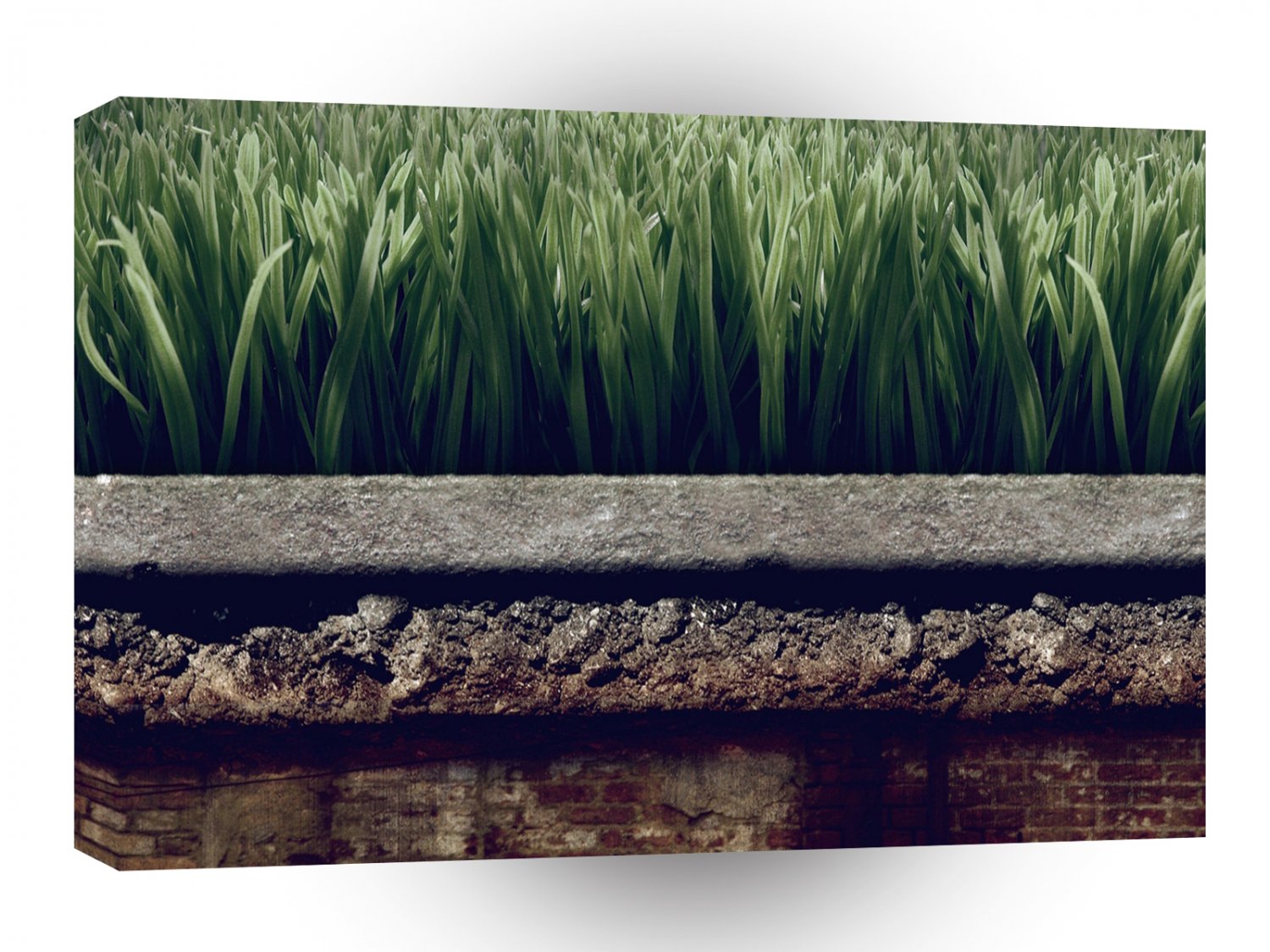 Abstract Garden Greener Grass Other Side A1 Xlarge Canvas
