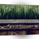 Abstract Garden Greener Grass Other Side A1 Xlarge Canvas