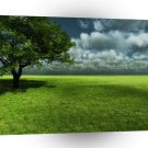 Abstract Landscape Endless Green Of Grass A1 Xlarge Canvas