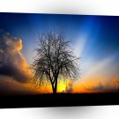 Abstract Landscape Supernova Night Sky A1 Xlarge Canvas