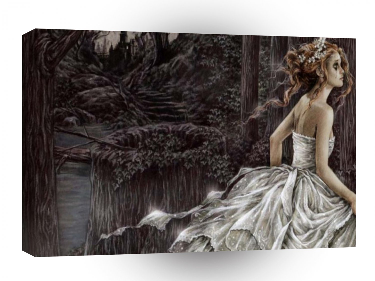 Abstract Sci Fi Distraught Bride A1 Xlarge Canvas