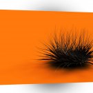 Abstract Shape Sea Hairs Together A1 Xlarge Canvas