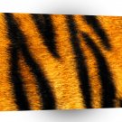 Abstract Tiger Stripes A1 Xlarge Canvas