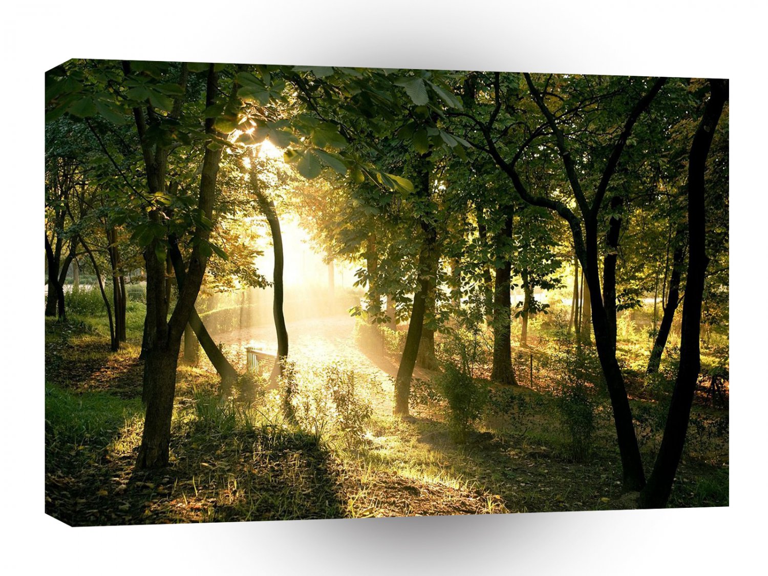 Abstract Tree Dawn In Madrid A1 Xlarge Canvas