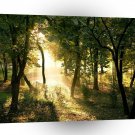 Abstract Tree Dawn In Madrid A1 Xlarge Canvas