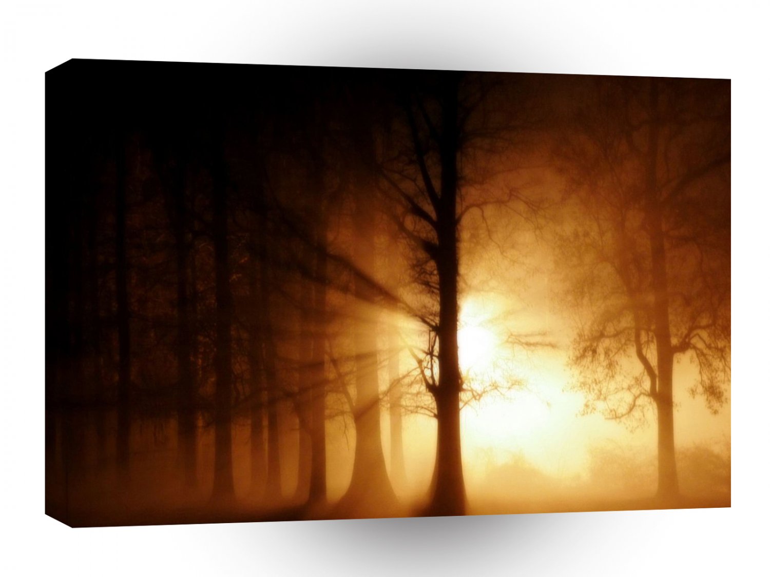 Abstract Tree Ghost Fog A1 Xlarge Canvas