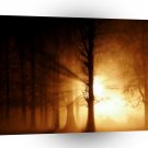 Abstract Tree Ghost Fog A1 Xlarge Canvas